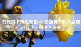 究竟哪个天气预报APP最准确？我从原理进行了一番深入研究