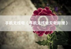 手机无线电（手机无线电充电原理）