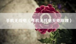 手机无线电（手机无线电充电原理）