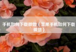手机如何下载微信（苹果手机如何下载微信）