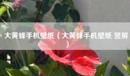 大黄蜂手机壁纸（大黄蜂手机壁纸 竖屏）