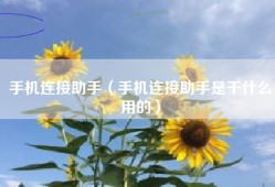 手机连接助手（手机连接助手是干什么用的）