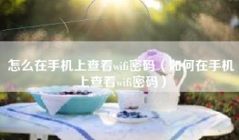 怎么在手机上查看wifi密码（如何在手机上查看wifi密码）