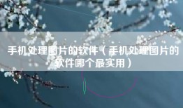手机处理图片的软件（手机处理图片的软件哪个最实用）