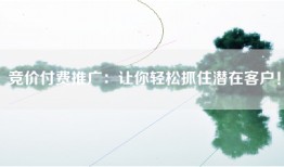 竞价付费推广：让你轻松抓住潜在客户！