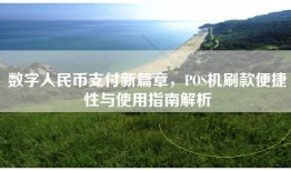 数字人民币支付新篇章，POS机刷款便捷性与使用指南解析
