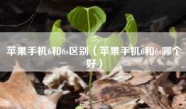 苹果手机6和6s区别（苹果手机6和6s哪个好）
