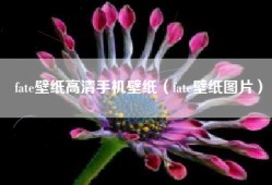 fate壁纸高清手机壁纸（fate壁纸图片）