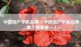 中国国产手机品牌（中国国产手机品牌哪个销量第一）