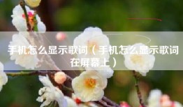 手机怎么显示歌词（手机怎么显示歌词在屏幕上）