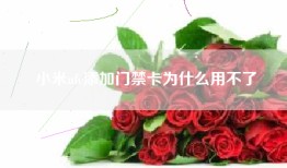 小米nfc添加门禁卡为什么用不了