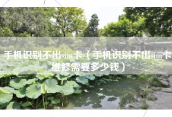 手机识别不出sim卡（手机识别不出sim卡维修需要多少钱）