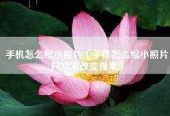 手机怎么缩小照片（手机怎么缩小照片尺寸不改变像素）