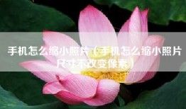 手机怎么缩小照片（手机怎么缩小照片尺寸不改变像素）