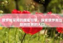 俄罗斯常用的搜索引擎，探索俄罗斯互联网世界的入口