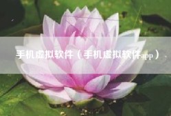 手机虚拟软件（手机虚拟软件app）