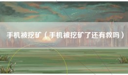 手机被挖矿（手机被挖矿了还有救吗）
