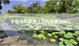 手机分区壁纸（手机屏幕分区）