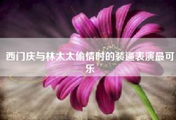 西门庆与林太太偷情时的装逼表演最可乐