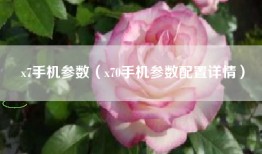 x7手机参数（x70手机参数配置详情）