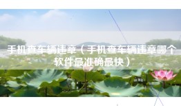 手机查车辆违章（手机查车辆违章哪个软件最准确最快）