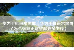 华为手机进水黑屏（华为手机进水黑屏了怎么恢复正常维修要多少钱）