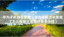 华为手机进水黑屏（华为手机进水黑屏了怎么恢复正常维修要多少钱）