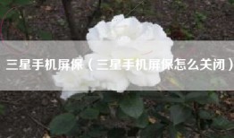 三星手机屏保（三星手机屏保怎么关闭）
