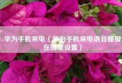 华为手机来电（华为手机来电语音播报在哪里设置）
