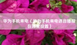 华为手机来电（华为手机来电语音播报在哪里设置）