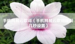 手机网易云歌词（手机网易云歌词提前几秒设置）