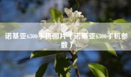 诺基亚6300手机图片（诺基亚6300手机参数）