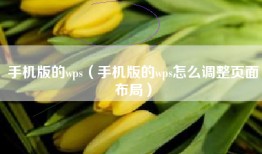 手机版的wps（手机版的wps怎么调整页面布局）