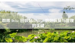群晖 Drive 回收站recyle，数据恢复与管理的关键