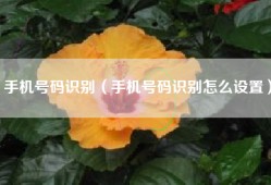 手机号码识别（手机号码识别怎么设置）