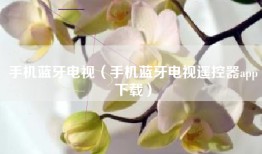 手机蓝牙电视（手机蓝牙电视遥控器app下载）