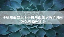 手机桌面显示(手机桌面显示两个时间怎么去掉一个)