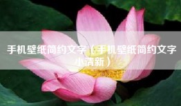 手机壁纸简约文字(手机壁纸简约文字小清新)