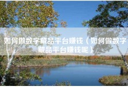 如何做数字藏品平台赚钱（如何做数字藏品平台赚钱呢）