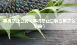 手机禁止安装（手机禁止安装应用怎么解除）