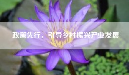 政策先行，引导乡村振兴产业发展