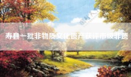 寿县一批非物质文化遗产获评市级非遗