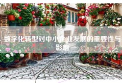数字化转型对中小企业发展的重要性与影响