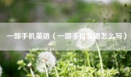一部手机英语（一部手机英语怎么写）