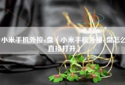 小米手机外接u盘（小米手机外接u盘怎么直接打开）