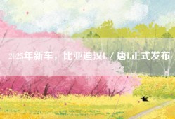 2025年新车，比亚迪汉L／唐L正式发布