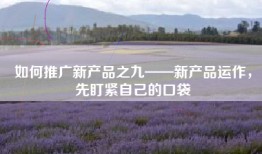 如何推广新产品之九——新产品运作，先盯紧自己的口袋