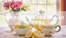 苹果手机无法打电话（苹果手机无法打电话发短信）