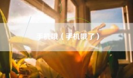 手机哦（手机哦了）