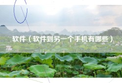 软件（软件到另一个手机有哪些）